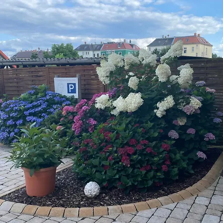 Beethoven-12 Апартаменты *